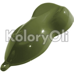RAL 6025 QUALICOAT Farba Proszkowa Poliestrowa Kolor Zieleń Paproci Gładki Połysk KO-00301 RAL 6025 QUALICOAT Farba Proszkowa Poliestrowa Kolor Zieleń Paproci Gładki Połysk KO-00301