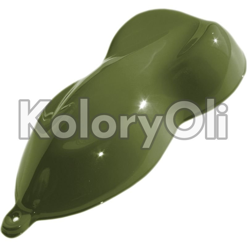 RAL 6025 QUALICOAT Farba Proszkowa Poliestrowa Kolor Zieleń Paproci Gładki Połysk KO-00301 RAL 6025 QUALICOAT Farba Proszkowa Poliestrowa Kolor Zieleń Paproci Gładki Połysk KO-00301