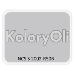 NCS S 2002-R50B Farba Proszkowa Poliestrowa Gładki Półpołysk/Satyna KO-A00386 produkcja