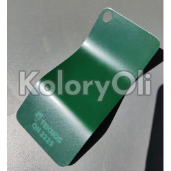 RAL 6009 QUALICOAT Farba Proszkowa Poliestrowa Kolor Zielony Jodłowy Gładki Mat KO-00434 RAL 6009 QUALICOAT Farba Proszkowa Poliestrowa Kolor Zielony Jodłowy Gładki Mat KO-00434