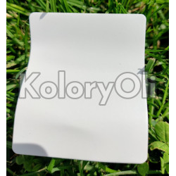 RAL 7035 Farba Proszkowa Poliestrowa Kolor Szary Jasny Mat KO-A00057 RAL 7035 Farba Proszkowa Poliestrowa Kolor Szary Jasny Mat KO-A00057