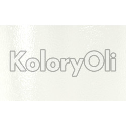 RAL 9016 Farba Proszkowa Poliestrowa Kolor Biały Beskidzki Gruba Struktura Półpołysk KO-N0133 RAL 9016 Farba Proszkowa Poliestrowa Kolor Biały Beskidzki Gruba Struktura Półpołysk KO-N0133