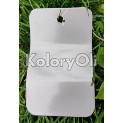 RAL 9006 Srebrny Połyskliwy Metalik QUALICOAT 2  Farba Proszkowa Poliestrowa Gładki Połysk KO-V486