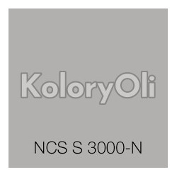 NCS S 3000-N Farba Proszkowa Poliestrowa Gładki Supermat KO-A00401 produkcja