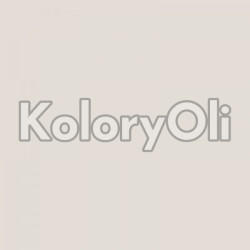 NCS S 1002-Y50R Farba Proszkowa Poliestrowa Gładki Mat KO-A00424