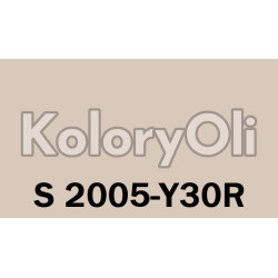 NCS S 2005-Y30R Farba Proszkowa Epoksydowo-Poliestrowa Gładki Półmat KO-A00412-produkcja