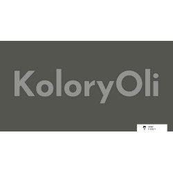 NCS S 6502-B Farba Proszkowa Poliestrowa Kolor Szary Gładki Mat KO-N0104