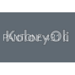 PANTONE 431C Farba Proszkowa Poliestrowa Mat KO-A00427-PRODUKCJA