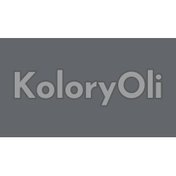 PANTONE COOL GRAY 10 C Farba Proszkowa Poliestrowa Połysk KO-A00428-PRODUKCJA