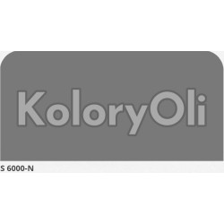 NCS S 6000-N Farba Proszkowa Poliestrowa Gładki Mat KO-N0515