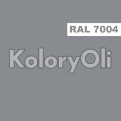 Podkład Epoksydowy Do Malowania Pionowego RAL 7004 Wysoki Połysk KO-SE0219