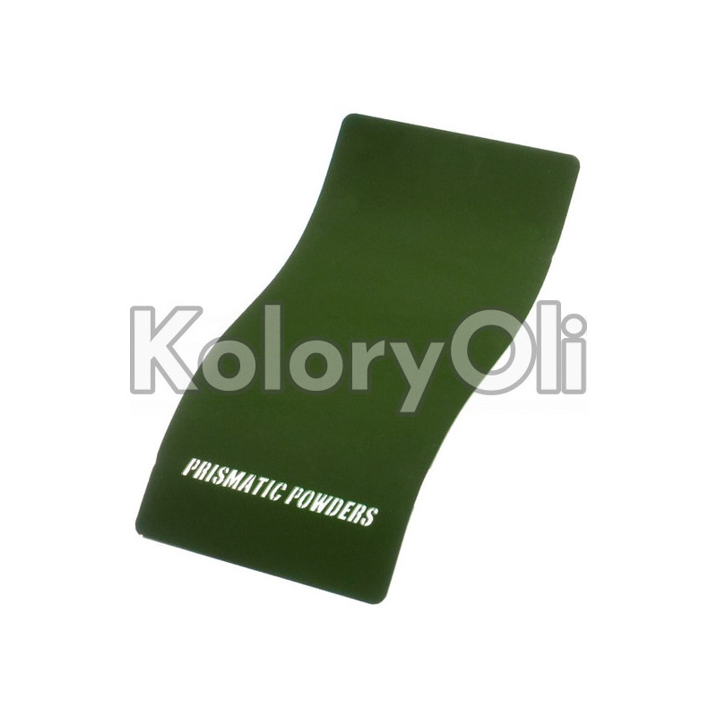 RAL 6009 Farba Proszkowa  Kolor Zielony Połysk KO-PP0539