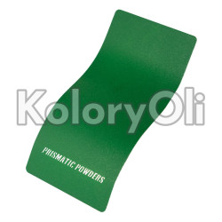 EVERGREEN TEXTURE Farba Proszkowa Poliestrowa Kolor Zielony Półpołysk KO-PP1647