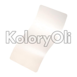 SNOW STORM Farba Proszkowa Poliestrowa Kolor Biały Wysoki połysk KO-PP2334