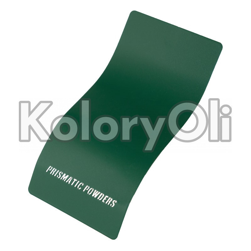 WINTER SAGE Farba Proszkowa Poliestrowa Kolor Zielony Wysoki połysk KO-PP2798