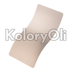GREY GLOSS Farba Proszkowa Poliestrowa Kolor Szary Wysoki połysk KO-PP2923
