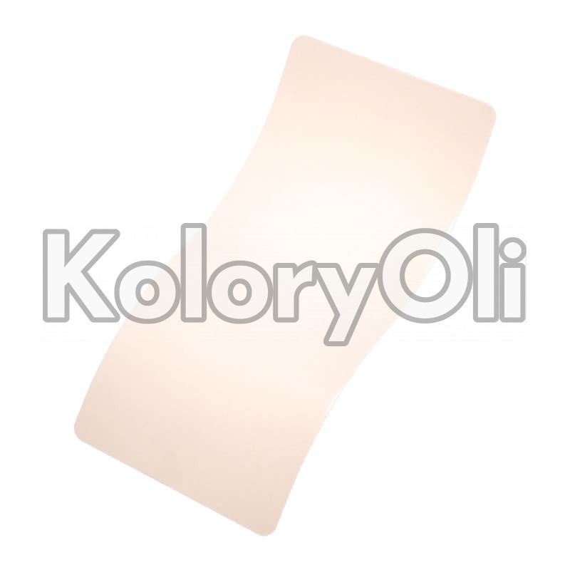 LIGHT PUTTY Farba Proszkowa Poliestrowa Kolor Biały Satyna KO-PP3624