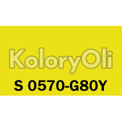 NCS S 0570-G80Y Farba Proszkowa Poliestrowa Gładki Półpołysk KO-A00475