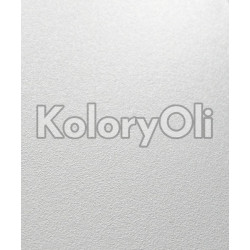 RAL 9010 Farba Proszkowa Poliestrowa Kolor Biały Ciepły Drobna Struktura Mat KO-A00084