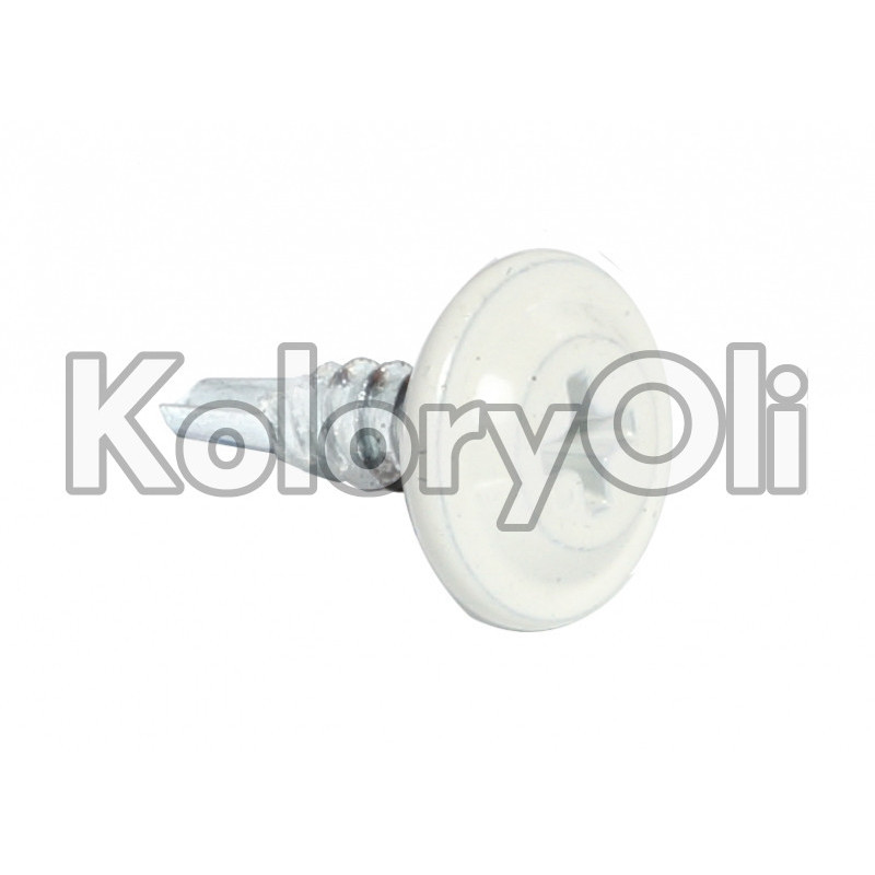 RAL 9010 Farba Proszkowa Poliestrowa Kolor Biały Ciepły Gładki Połysk KO-A00083 RAL 9010 Farba Proszkowa Poliestrowa Kolor Biały Ciepły Gładki Połysk KO-A00083