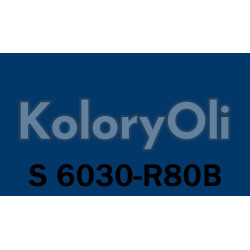 NCS S 6030-R80B Farba Proszkowa Poliestrowa Gładki Mat KO-A00484