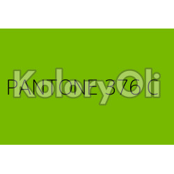 PANTONE 376C Farba Proszkowa Poliestrowa Półpołysk KO-A00485-PRODUKCJA