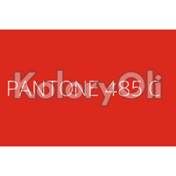 PANTONE 485C Farba Proszkowa Poliestrowa Połysk KO-A00488-PRODUKCJA