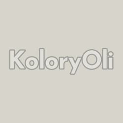 RAL 9002 Farba Proszkowa ANTYBAKTERYJNA Poliestrowa Kolor Biały Kremowy Gładki Półmat KO-A00399-PRODUKCJA
