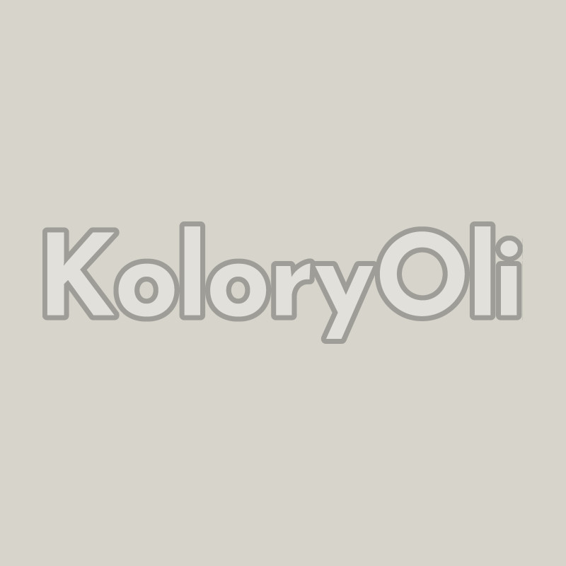 RAL 9002 Farba Proszkowa ANTYBAKTERYJNA Poliestrowa Kolor Biały Kremowy Gładki Półmat KO-A00399-PRODUKCJA RAL 9002 Farba Proszkowa ANTYBAKTERYJNA Poliestrowa Kolor Biały Kremowy Gładki Półmat KO-A00399-PRODUKCJA