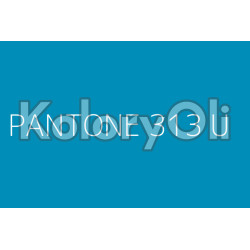 PANTONE 313U Farba Proszkowa Poliestrowa Mat KO-N0056