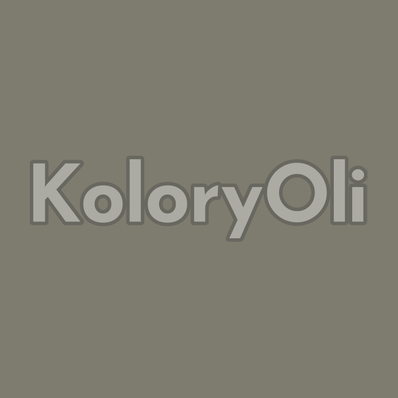 RAL 7003 QUALICOAT Farba Proszkowa Poliestrowa Kolor Szary Mchowy Połysk KO-L0044 RAL 7003 QUALICOAT Farba Proszkowa Poliestrowa Kolor Szary Mchowy Połysk KO-L0044