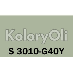NCS S 3010-G40Y Farba Proszkowa Poliestrowa Gładki Mat KO-A00648-PRODUKCJA