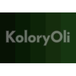 Zielono-czarny Farba Proszkowa Poliestrowa Połysk KO-A00549 Zielono-czarny Farba Proszkowa Poliestrowa Połysk KO-A00549