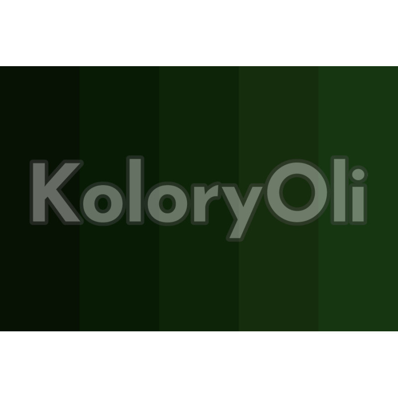 Zielono-czarny Farba Proszkowa Poliestrowa Połysk KO-A00549 Zielono-czarny Farba Proszkowa Poliestrowa Połysk KO-A00549