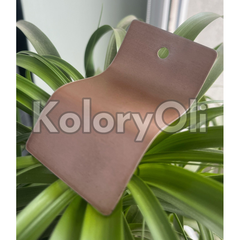 Transparent Brązowy Farba Proszkowa Poliestrowa Mat KO-A00657- PRODUKCJA Transparent Brązowy Farba Proszkowa Poliestrowa Mat KO-A00657- PRODUKCJA
