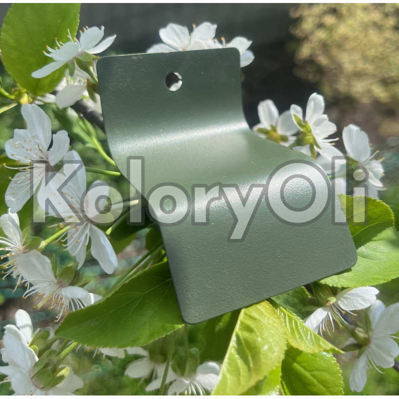RAL 6031 Farba Proszkowa Poliestrowa Kolor Zielony Wojskowy Drobna Struktura KO-A00380-produkcja RAL 6031 Farba Proszkowa Poliestrowa Kolor Zielony Wojskowy Drobna Struktura KO-A00380-produkcja