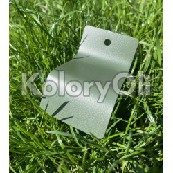 RAL 6031 Farba Proszkowa Poliestrowa Kolor Zielony Wojskowy Drobna Struktura KO-A00380-produkcja RAL 6031 Farba Proszkowa Poliestrowa Kolor Zielony Wojskowy Drobna Struktura KO-A00380-produkcja