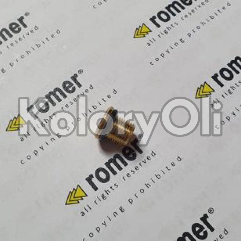 Korek inżektora G1/8" - KO-RR0004386