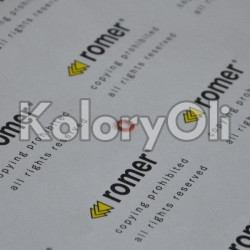 O-ring [9971319] - KO-RR0001590