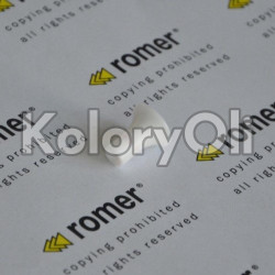 Grzybek rozpylający (19mm) N173138 - KO-RR0001503