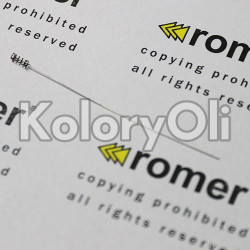 Elektroda sprężynowy kontakt Nr. Kat. 1010562 - KO-RR0001834