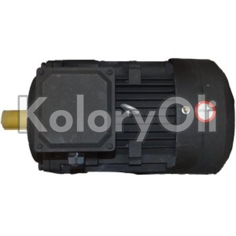 Silnik trójfazowy SE40 4kW 1435 obr. - KO-RR0000454