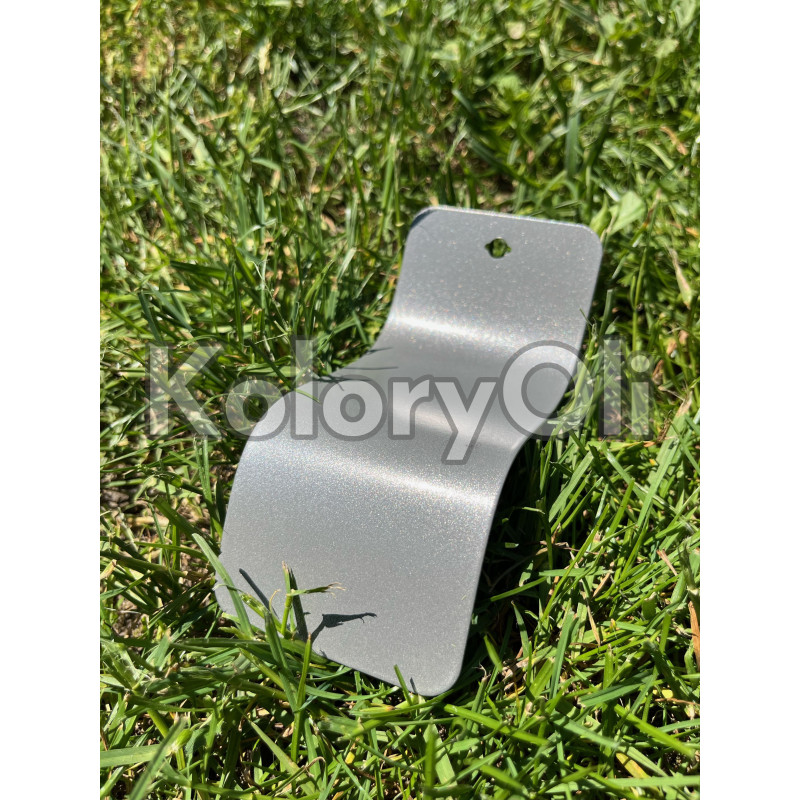 SREBRO BROKATOWE RAL 9007 Farba Proszkowa Poliestrowa Gładki Mat KO-N0599 SREBRO BROKATOWE RAL 9007 Farba Proszkowa Poliestrowa Gładki Mat KO-N0599
