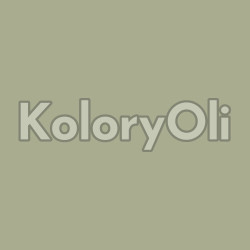 RAL EFFECT/E3 130-M METALIK Farba Proszkowa Poliestrowa Kolor Oliwkowy Połysk KO-A00672