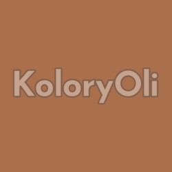 NCS S 4030-Y50R Farba Proszkowa Poliestrowa Gładki Mat KO-A00674-produkcja