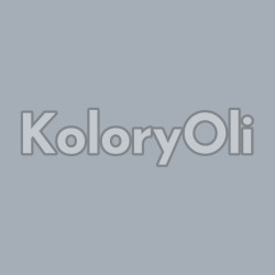 RAL 9006 QUALICOAT Srebrny Chromowy Farba Proszkowa Poliestrowa Gładki Połysk (85 GLOSS)KO-AZ0033