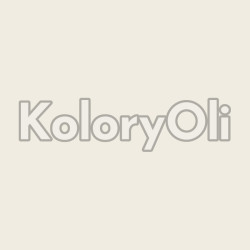 RAL 9010 QUALICOAT Farba Proszkowa Poliestrowa Kolor Biały Gładki Mat KO-L0071 RAL 9010 QUALICOAT Farba Proszkowa Poliestrowa Kolor Biały Gładki Mat KO-L0071