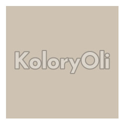 NCS S 2005-Y30R Farba Proszkowa Poliestrowa Gładki Mat (45GLOSS) KO-A00432-produkcja