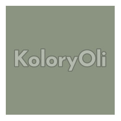 NCS S 4010-G30Y Farba Proszkowa Poliestrowa Gładki Półmat KO-A00439