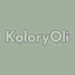 RAL/D2 DESIGN 130 70 10 Farba Proszkowa Poliestrowa Kolor Zielono-Limonkowy Gładki Mat KO-A00468 - produkcja